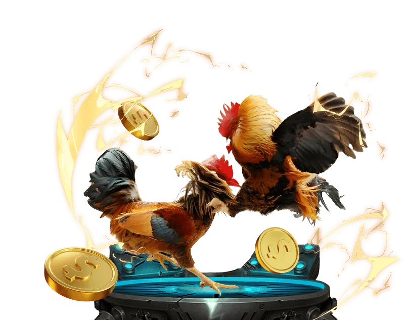 Cookie Chức năng 33win